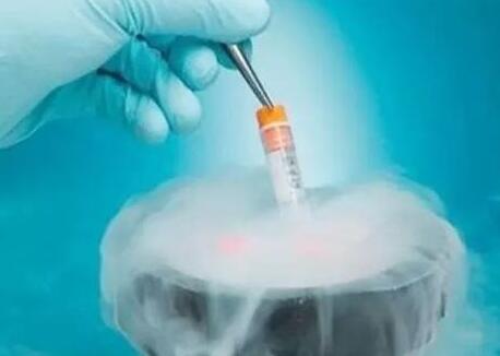 鲜胚移植和冻胚移植有什么差异呢？我们应该如何选择呢？