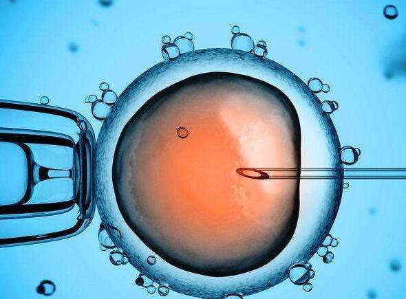 鲜胚移植和冻胚移植有什么差异呢？我们应该如何选择呢？
