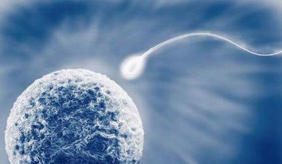 胚胎停育的原因是什么？养胚囊的好处在哪里？