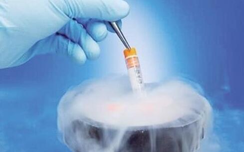 冷冻胚胎对于试管成功率是否有影响？适合中药调理的准宝妈