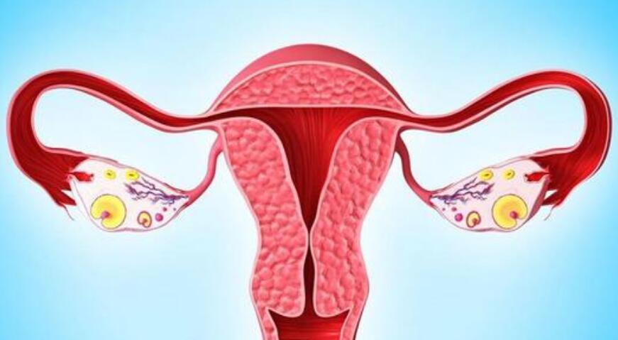 妇科疾病对于试管辅助生殖有什么影响？应该如何预防呢？