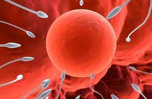 排卵正常的女性进行试管时是否要促排卵？
