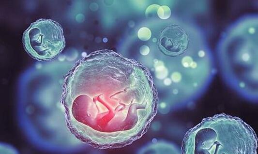 试管移植两个胚胎就能怀上双胞胎吗？为什么要冷冻胚胎呢？