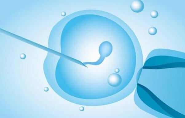冻胚移植对于试管成功率有影响吗？冻胚发育潜力会不会变低？
