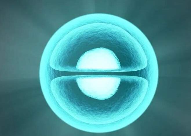 为什么做试管会冷冻胚胎？哪些人群需要胚胎冷冻？