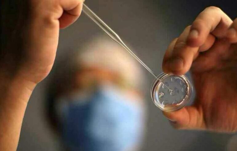 为什么做试管会冷冻胚胎？哪些人群需要胚胎冷冻？