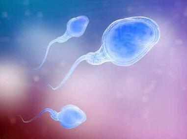 胚胎是如何评级的？怎样提高胚胎质量？