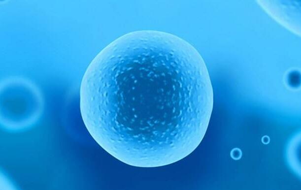 卵子质量对于做试管有什么意义？如何提高成功率？